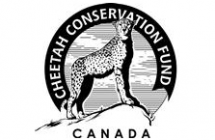 Cheetah Conservation Fund Canada