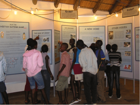 Young Namibian students learning about cheetahs onsite at CCF